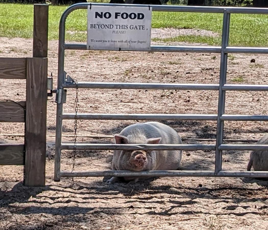 Rooterville Animal Sanctuary Melrose Ngoại thất bức ảnh