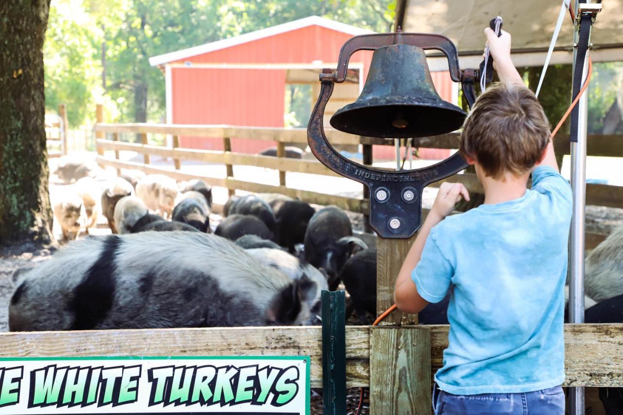 Rooterville Animal Sanctuary Melrose Ngoại thất bức ảnh