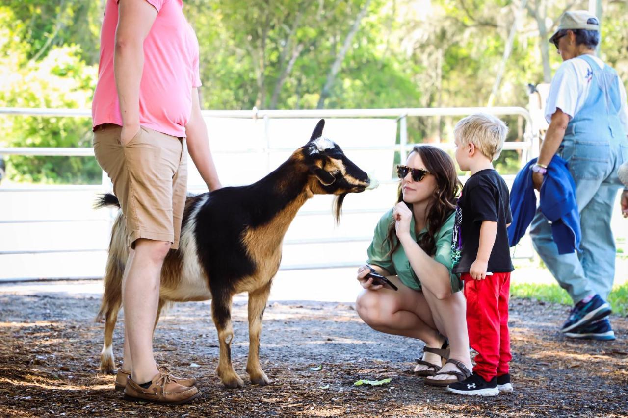 Rooterville Animal Sanctuary Melrose Ngoại thất bức ảnh