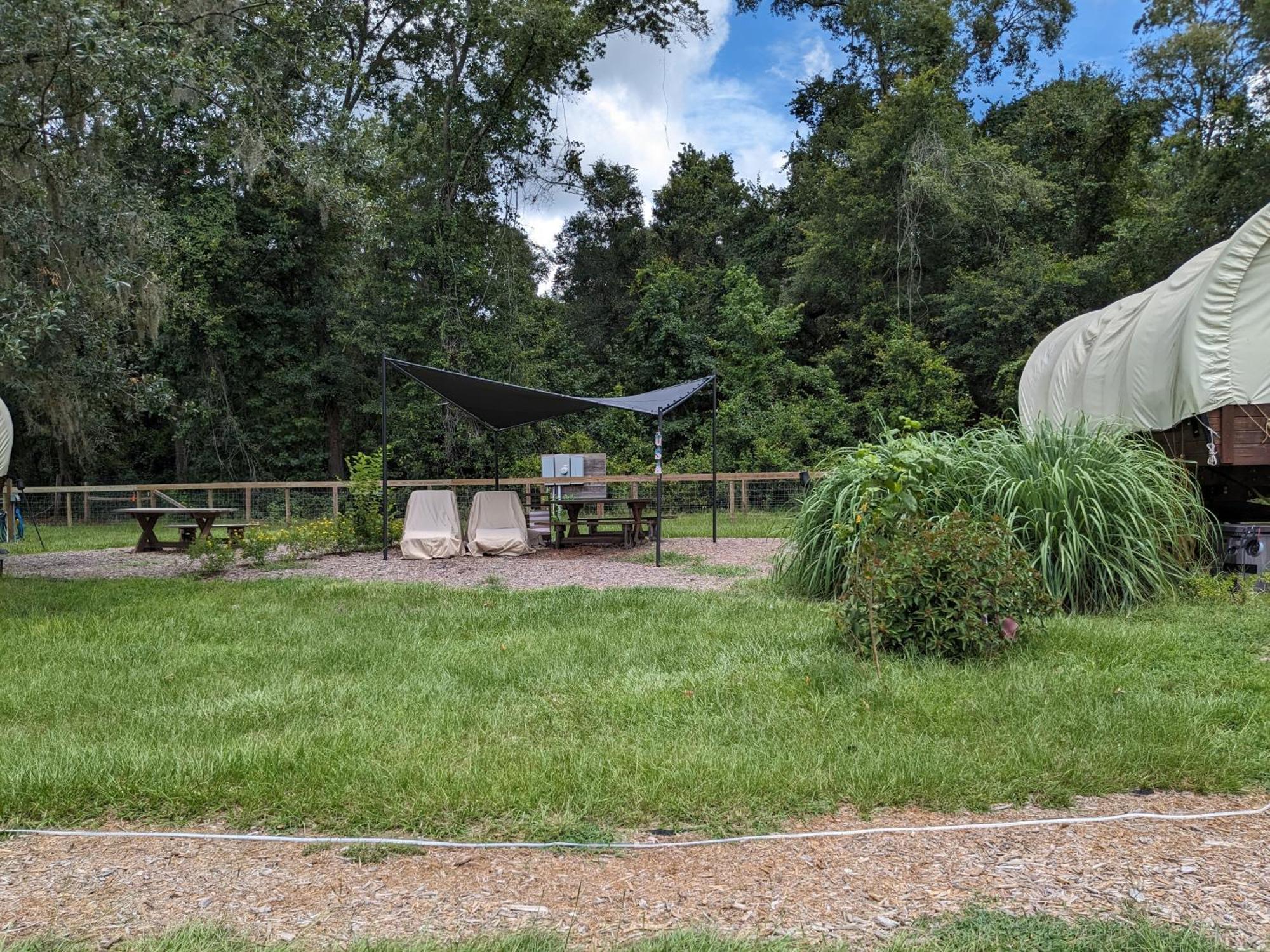 Rooterville Animal Sanctuary Melrose Ngoại thất bức ảnh