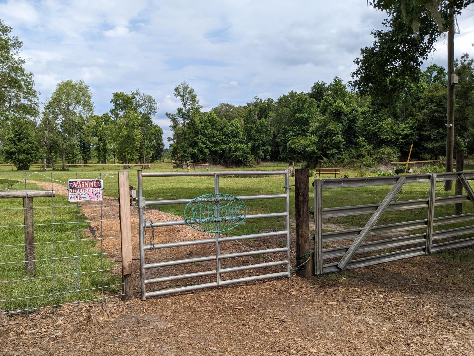 Rooterville Animal Sanctuary Melrose Ngoại thất bức ảnh