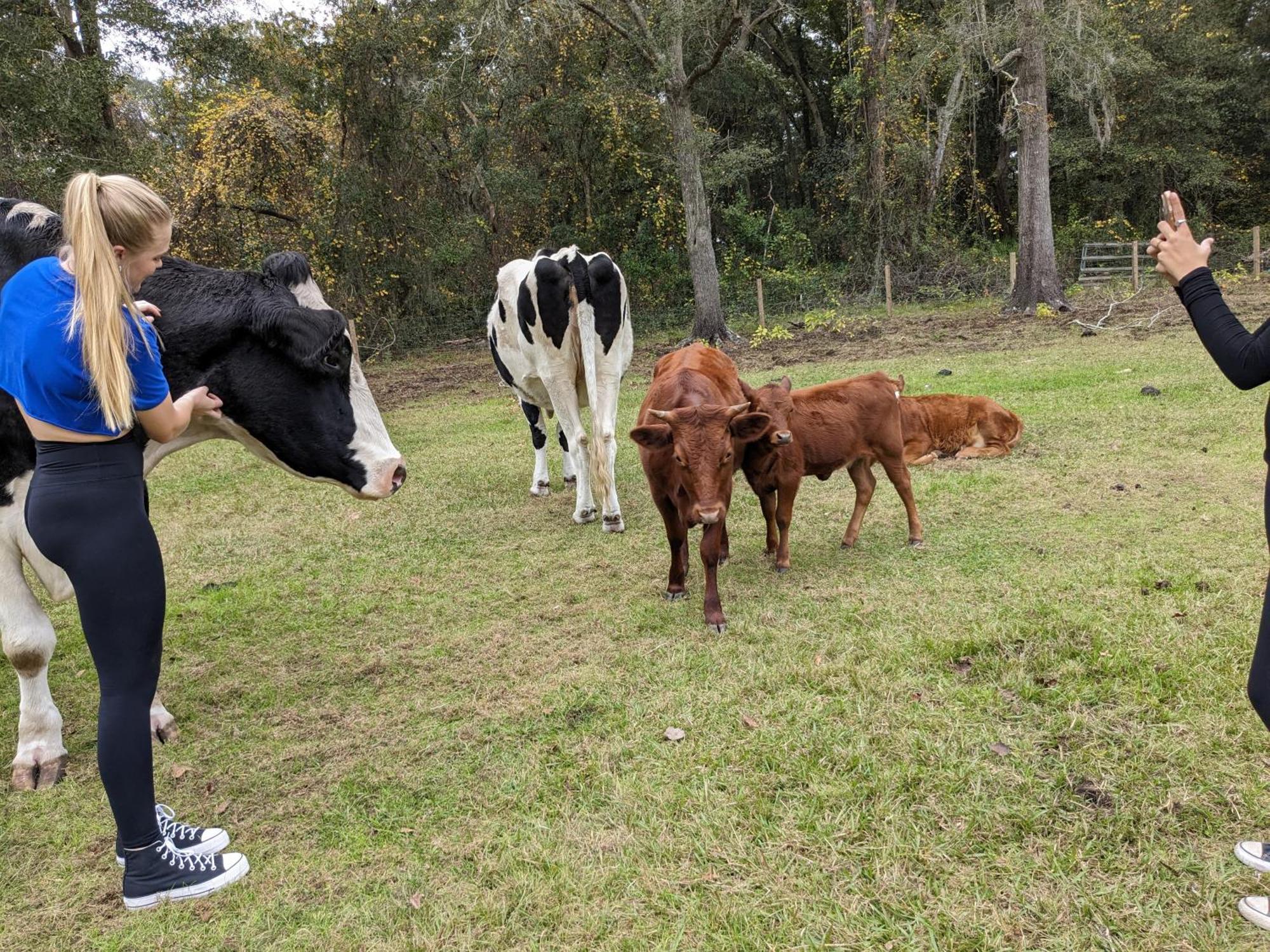 Rooterville Animal Sanctuary Melrose Ngoại thất bức ảnh